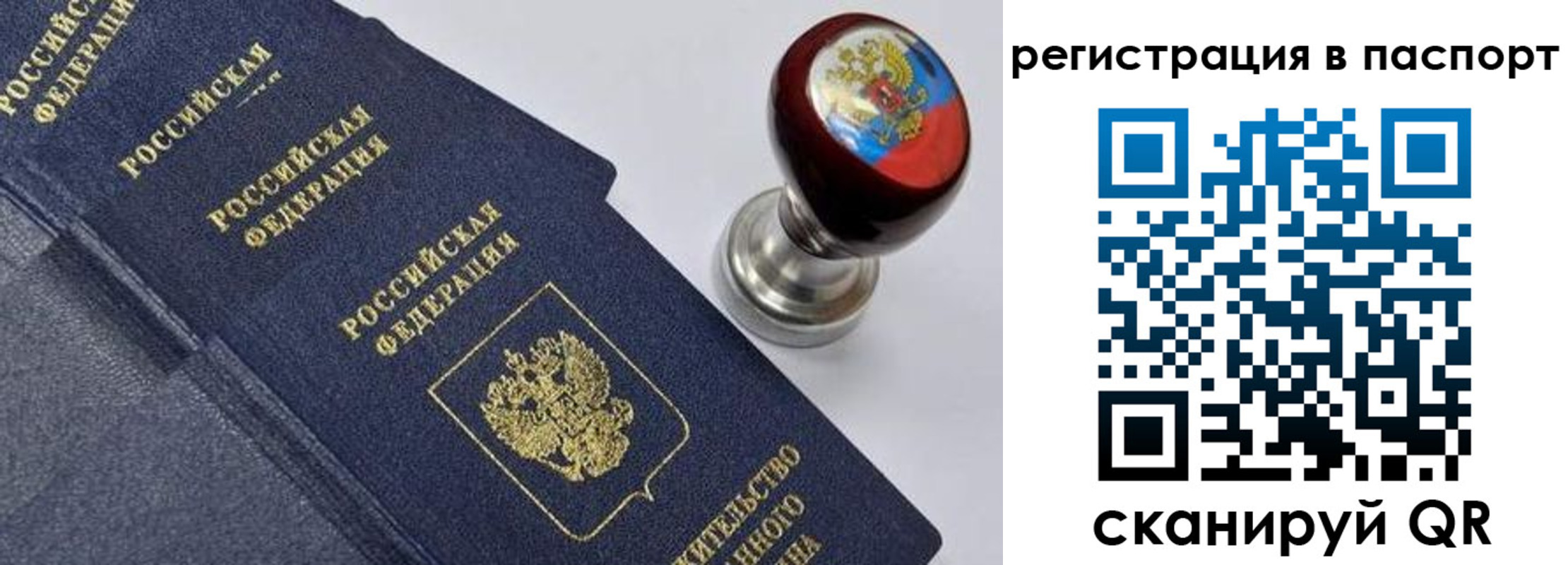 временная регистрация недорого в Ельне